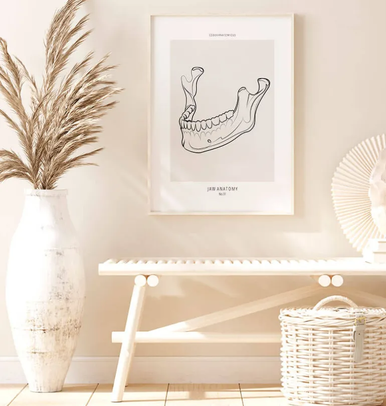 Anatomie de la mâchoire - Line Art