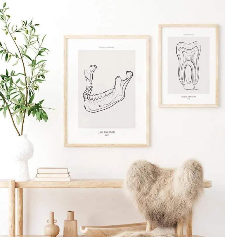 Anatomie de la mâchoire - Line Art