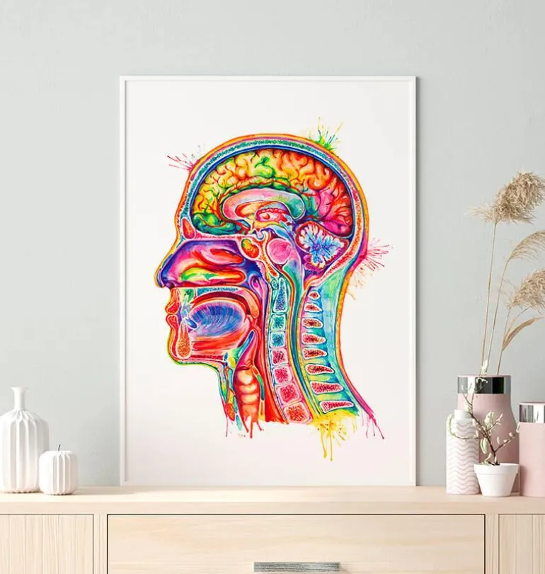 Anatomie de la section de tête - Aquarelle