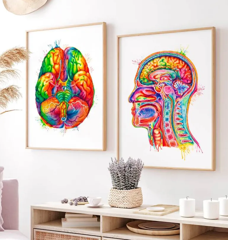 Anatomie de la section de tête - Aquarelle