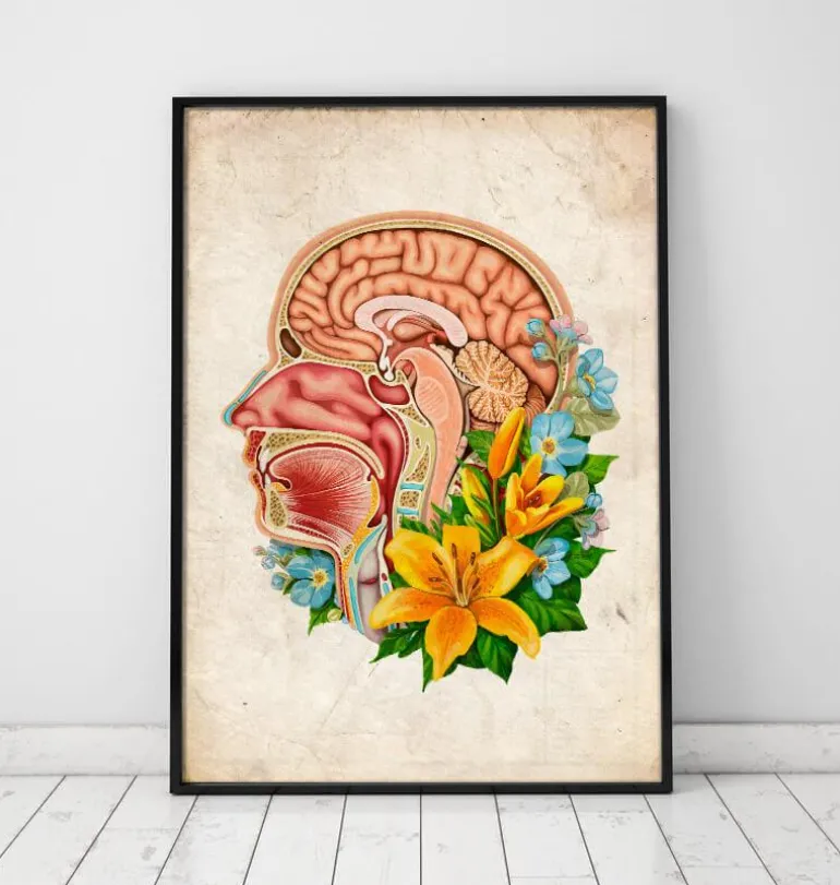 Anatomie de la tête - Floral - Vieux papier