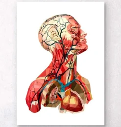 Anatomie de la tête géométrique II