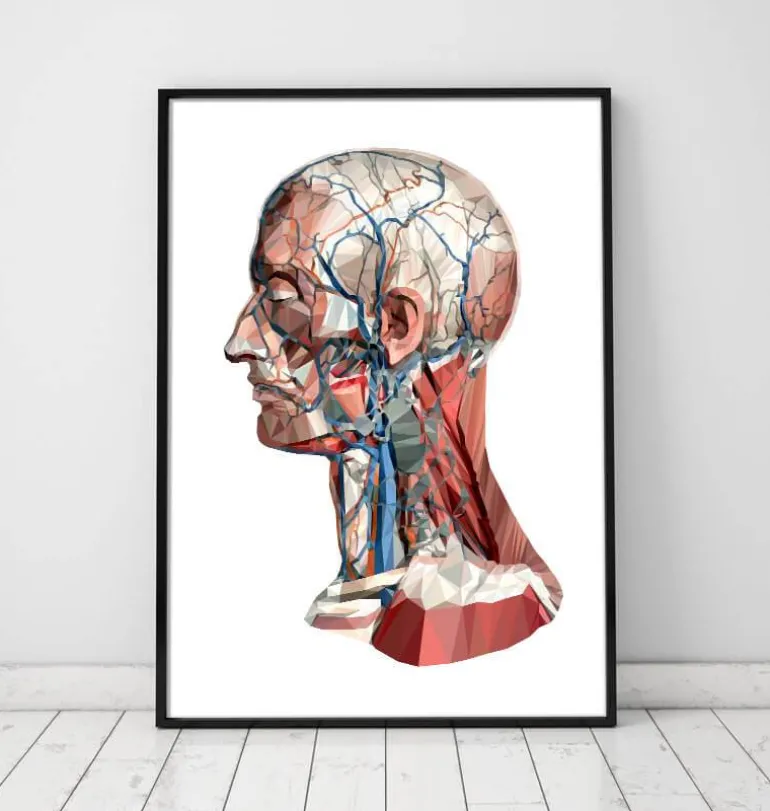 Anatomie de la tête géométrique I