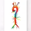 Anatomie de l'aorte - Aquarelle