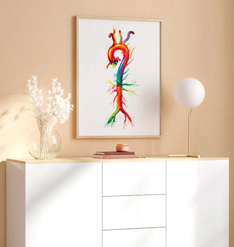 Anatomie de l'aorte - Aquarelle