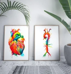 Anatomie de l'aorte - Aquarelle