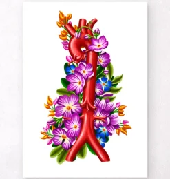 Anatomie de l'aorte - Floral - Blanc