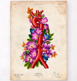 Anatomie de l'aorte - Floral - Vintage