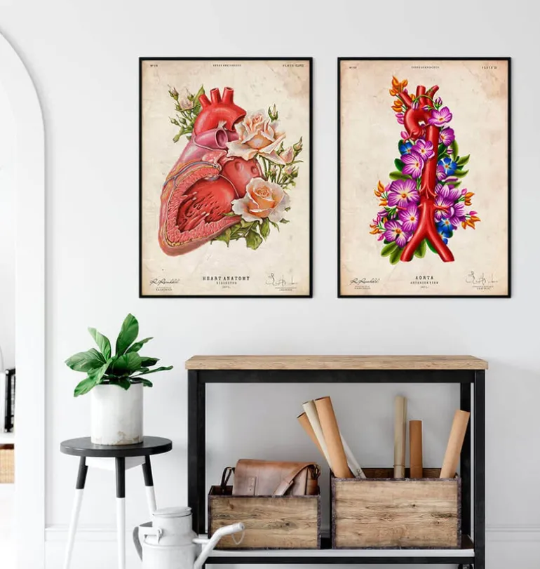 Anatomie de l'aorte - Floral - Vintage