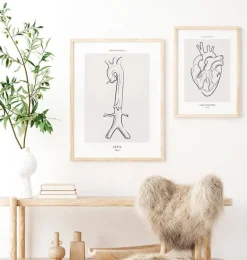 Anatomie de l'aorte - Line Art