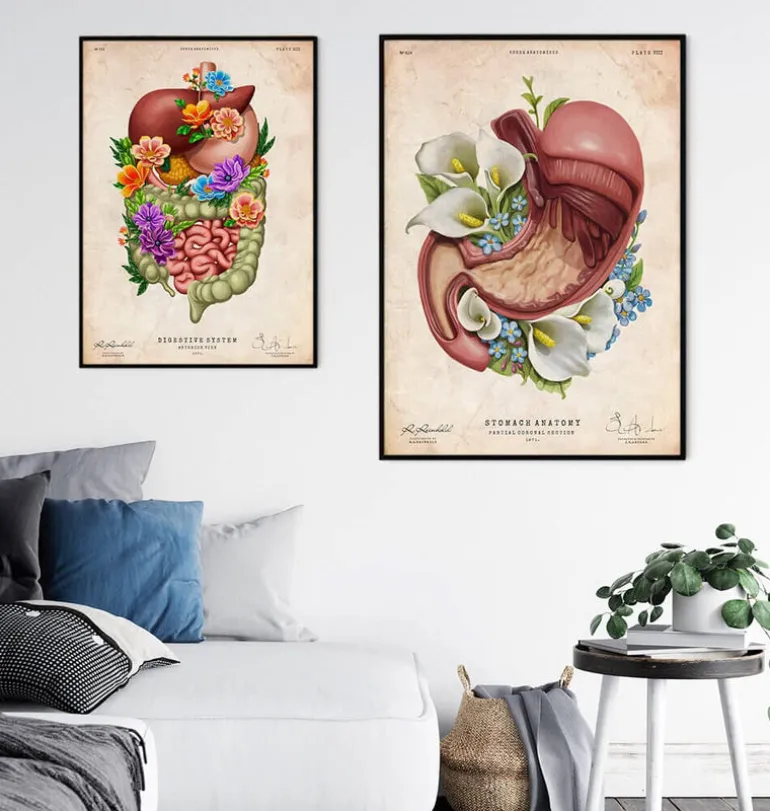 Anatomie de l'estomac - Floral - Vieux Papier
