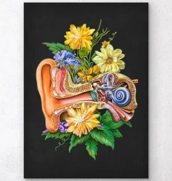 Anatomie de l'oreille - Floral - Noir