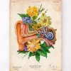 Anatomie de l'oreille - Floral - Vieux papier