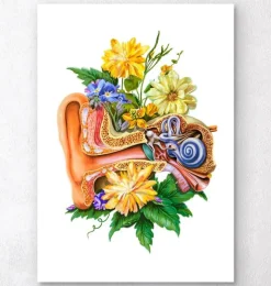 Anatomie de l'oreille - Floral - Blanc