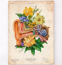 Anatomie de l'oreille - Floral - Vieux papier