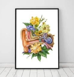 Anatomie de l'oreille - Floral - Blanc