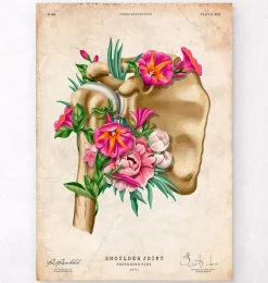 Anatomie de l'épaule - Floral - Vintage