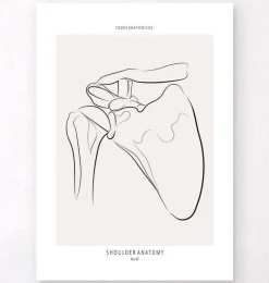 Anatomie de l’épaule - Line Art