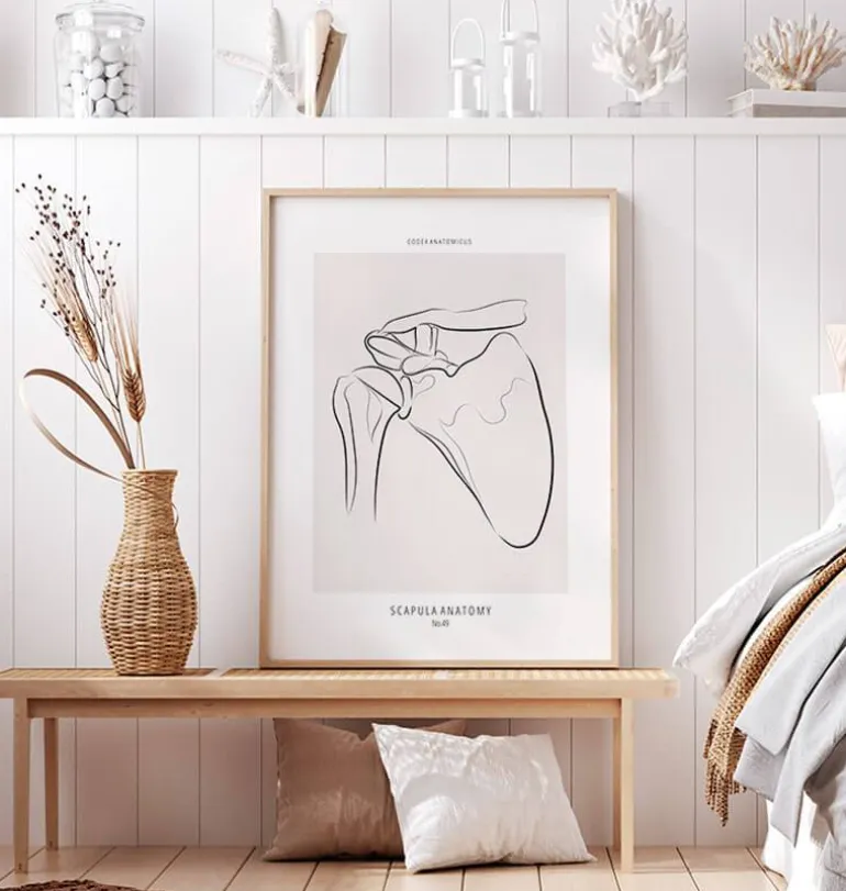 Anatomie de l’épaule - Line Art