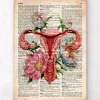 Anatomie de l'utérus - Ancien dictionnaire