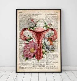Anatomie de l'utérus - Ancien dictionnaire