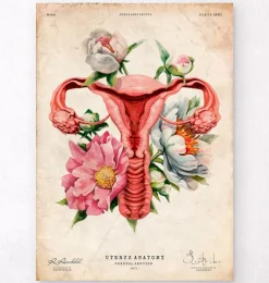 Anatomie de l'utérus - Floral - Vieux papier