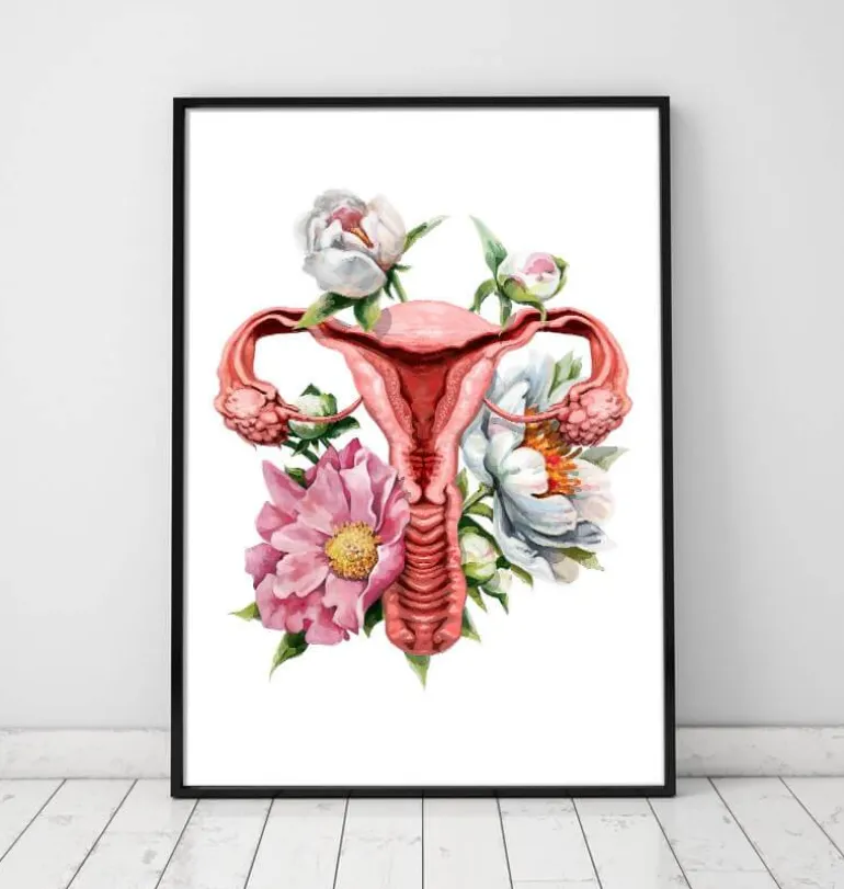 Anatomie de l'utérus - Floral - Blanc