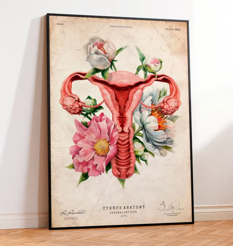 Anatomie de l'utérus - Floral - Vieux papier