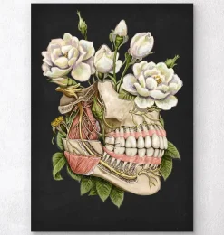 Anatomie dentaire - Floral - Noir