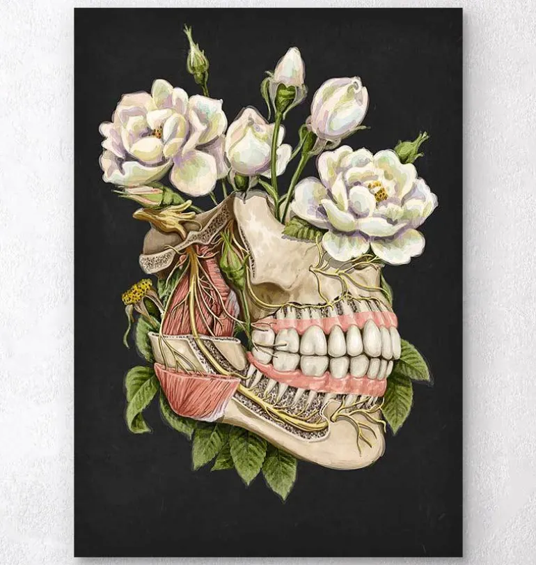 Anatomie dentaire - Floral - Noir