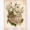 Anatomie dentaire - Floral - Vieux papiers