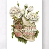 Anatomie dentaire - Floral