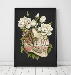 Anatomie dentaire - Floral - Noir