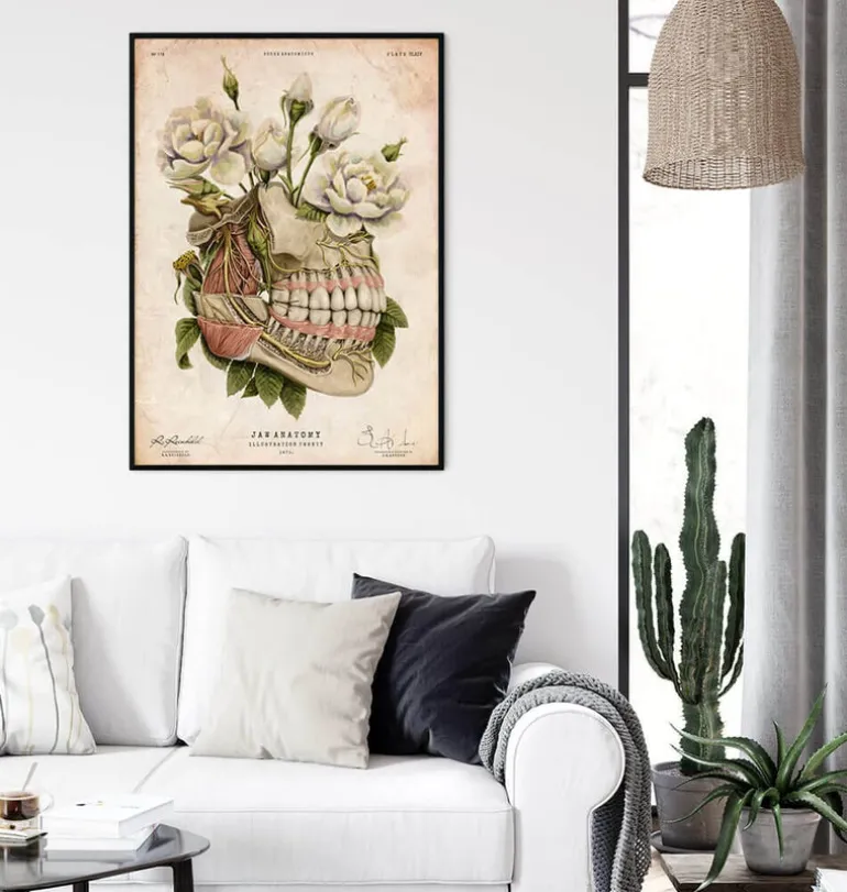 Anatomie dentaire - Floral - Vieux papiers