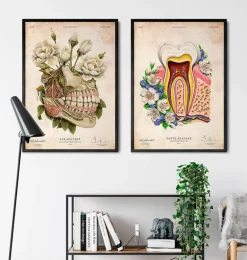 Anatomie dentaire - Floral - Vieux papiers