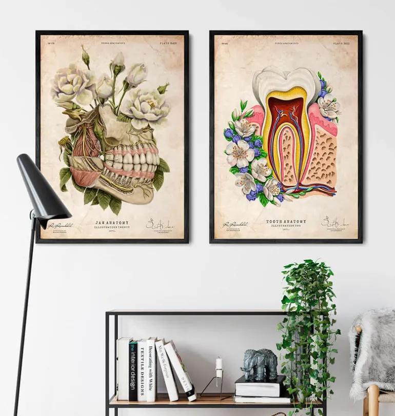 Anatomie dentaire - Floral - Vieux papiers