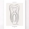 Anatomie dentaire - Line Art