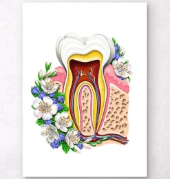 Anatomie dentaire II - Floral - Blanc
