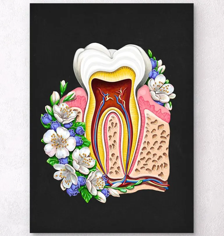 Anatomie dentaire II - Floral - Noir