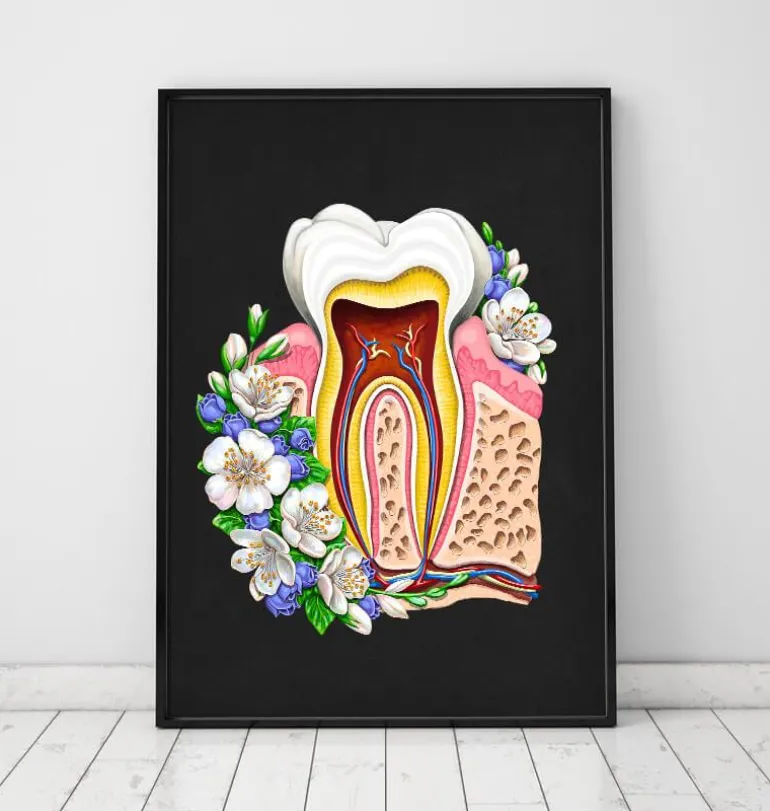 Anatomie dentaire II - Floral - Noir