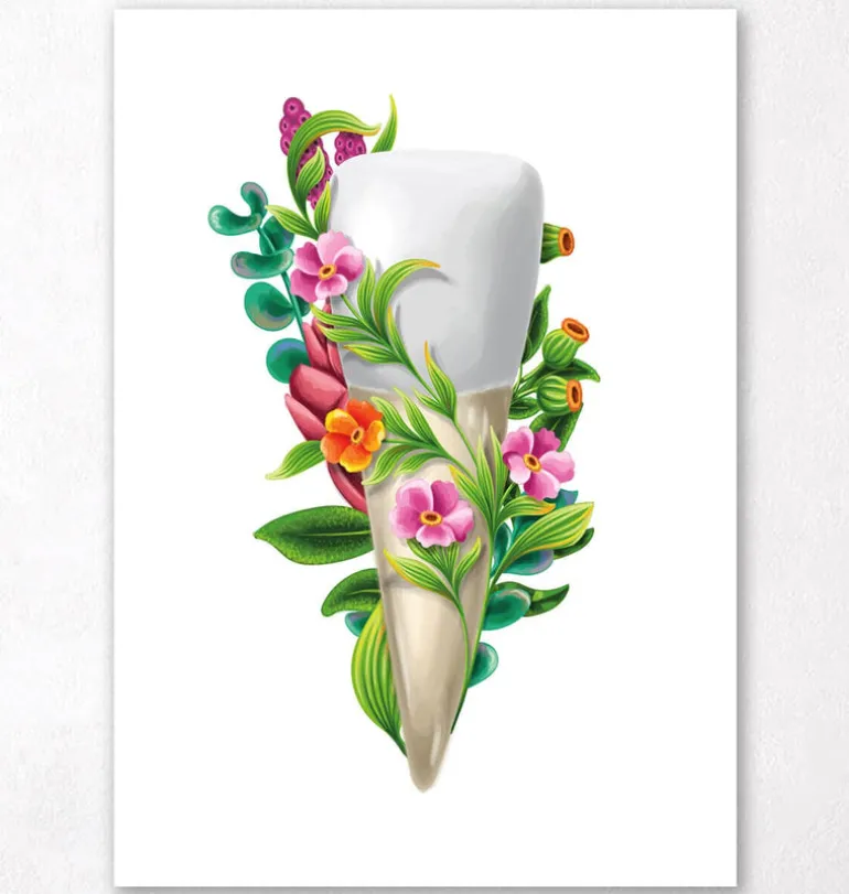 Anatomie dentaire III - Floral - Blanc