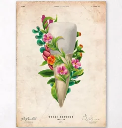 Anatomie dentaire III - Floral - Vintage