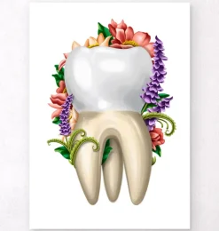 Anatomie dentaire IV - Floral - Blanc