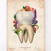 Anatomie dentaire IV - Floral - Vintage