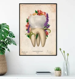Anatomie dentaire IV - Floral - Vintage
