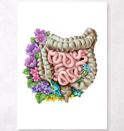 Anatomie des intestins - Floral - Blanc