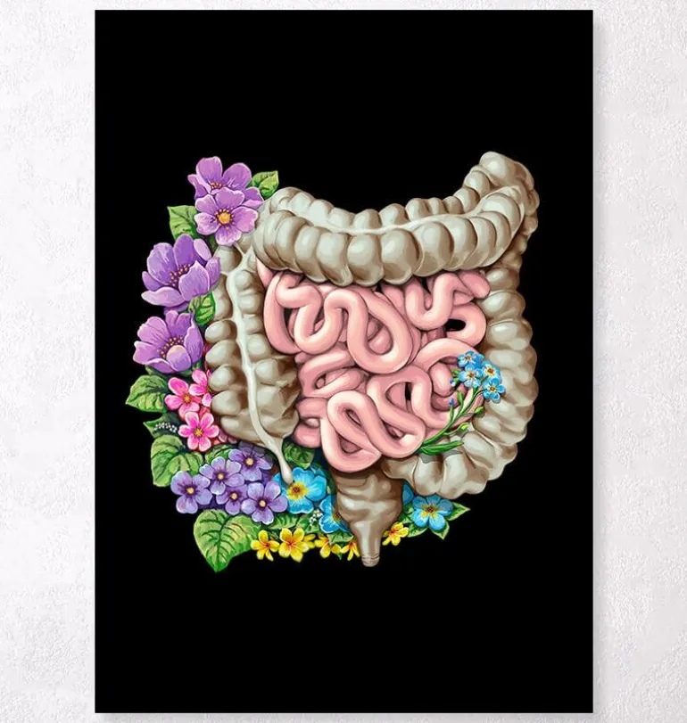 Anatomie des intestins - Floral - Noir