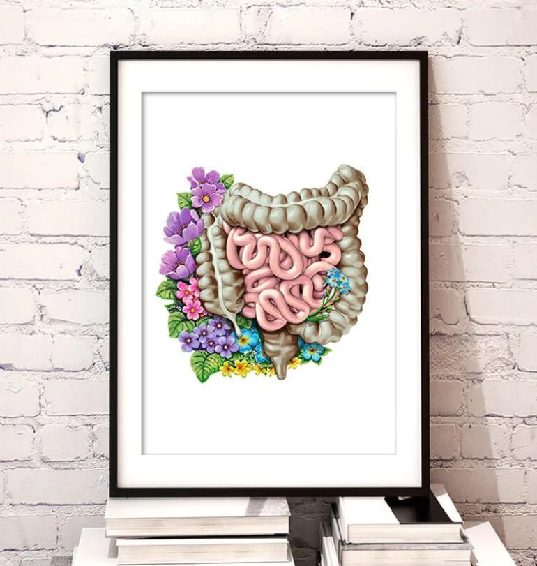 Anatomie des intestins - Floral - Blanc