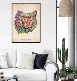 Anatomie des intestins - Floral - Vieux Papier