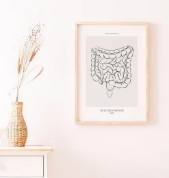 Anatomie des intestins - Line Art